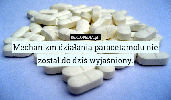 Mechanizm działania paracetamolu nie został do dziś wyjaśniony. 
