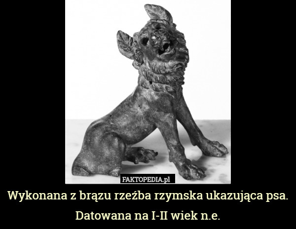Wykonana z brązu rzeźba rzymska ukazująca psa. Datowana na I-II wiek n.e. 