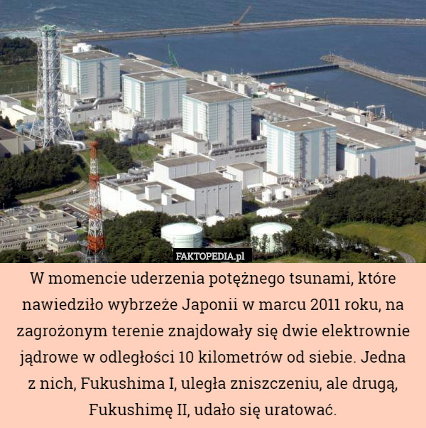 W momencie uderzenia potężnego tsunami, które nawiedziło wybrzeże Japonii w marcu 2011 roku, na zagrożonym terenie znajdowały się dwie elektrownie jądrowe w odległości 10 kilometrów od siebie. Jedna
z nich, Fukushima I, uległa zniszczeniu, ale drugą, Fukushimę II, udało się uratować. 