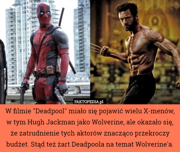 W filmie "Deadpool" miało się pojawić wielu X-menów, w tym Hugh Jackman jako Wolverine, ale okazało się, że zatrudnienie tych aktorów znacząco przekroczy budżet. Stąd też żart Deadpoola na temat Wolverine'a. 