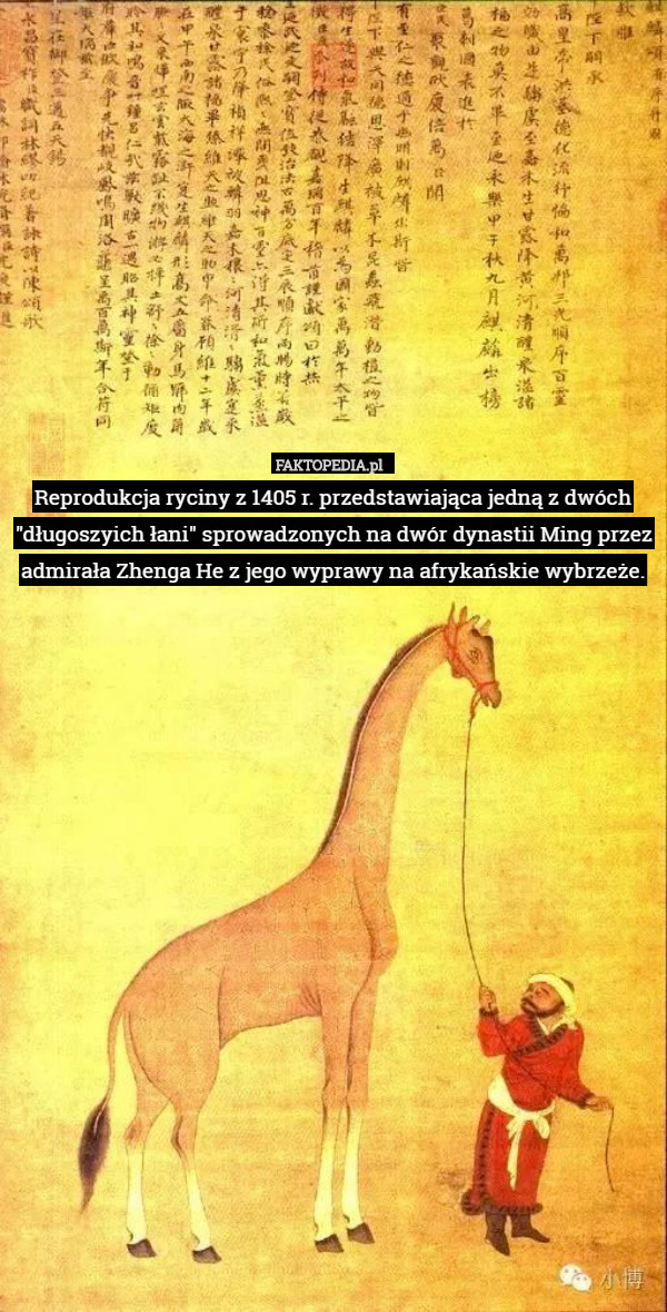 Reprodukcja ryciny z 1405 r. przedstawiająca jedną z dwóch "długoszyich łani" sprowadzonych na dwór dynastii Ming przez admirała Zhenga He z jego wyprawy na afrykańskie wybrzeże. 
