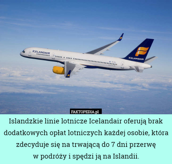 Islandzkie linie lotnicze Icelandair oferują brak dodatkowych opłat lotniczych każdej osobie, która zdecyduje się na trwającą do 7 dni przerwę
w podróży i spędzi ją na Islandii. 