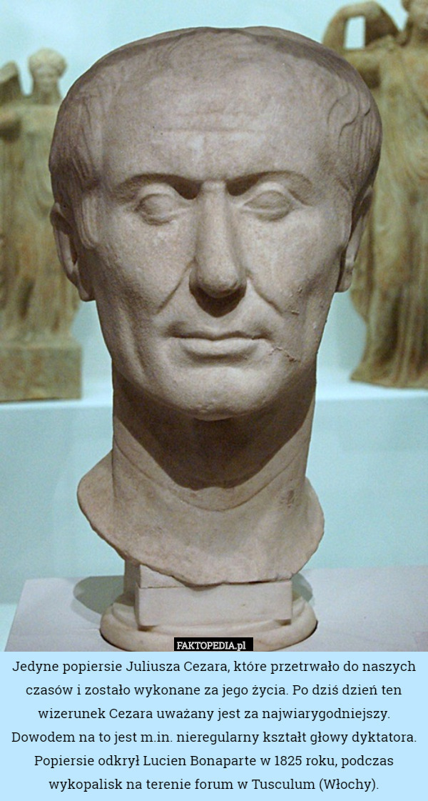 Jedyne popiersie Juliusza Cezara, które przetrwało do naszych czasów i zostało wykonane za jego życia. Po dziś dzień ten wizerunek Cezara uważany jest za najwiarygodniejszy. Dowodem na to jest m.in. nieregularny kształt głowy dyktatora.
Popiersie odkrył Lucien Bonaparte w 1825 roku, podczas wykopalisk na terenie forum w Tusculum (Włochy). 