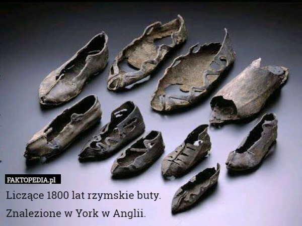 Liczące 1800 lat rzymskie buty.
 Znalezione w York w Anglii. 