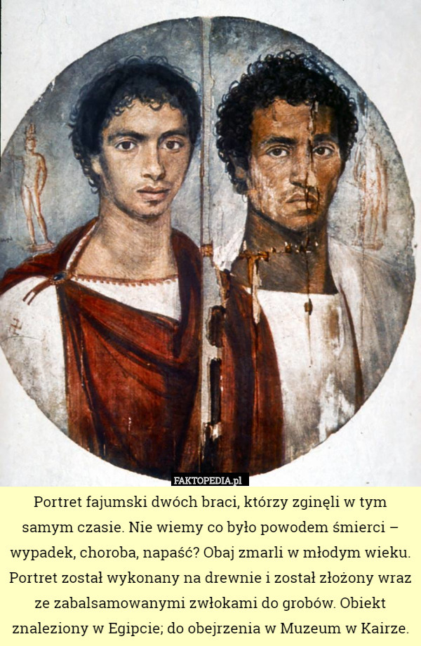 Portret fajumski dwóch braci, którzy zginęli w tym samym czasie. Nie wiemy co było powodem śmierci – wypadek, choroba, napaść? Obaj zmarli w młodym wieku.
Portret został wykonany na drewnie i został złożony wraz ze zabalsamowanymi zwłokami do grobów. Obiekt znaleziony w Egipcie; do obejrzenia w Muzeum w Kairze. 
