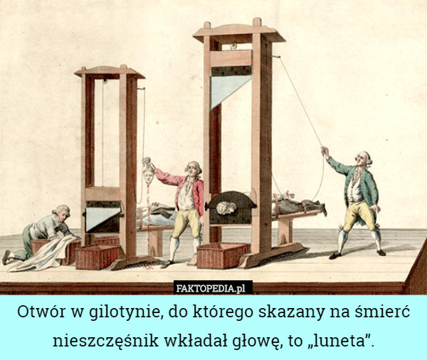 Otwór w gilotynie, do którego skazany na śmierć nieszczęśnik wkładał głowę, to „luneta”. 