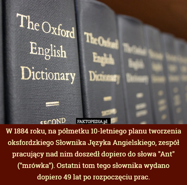W 1884 roku, na półmetku 10-letniego planu tworzenia oksfordzkiego Słownika Języka Angielskiego, zespół pracujący nad nim doszedł dopiero do słowa "Ant" ("mrówka"). Ostatni tom tego słownika wydano
 dopiero 49 lat po rozpoczęciu prac. 