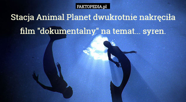 Stacja Animal Planet dwukrotnie nakręciła film "dokumentalny" na temat... syren. 
