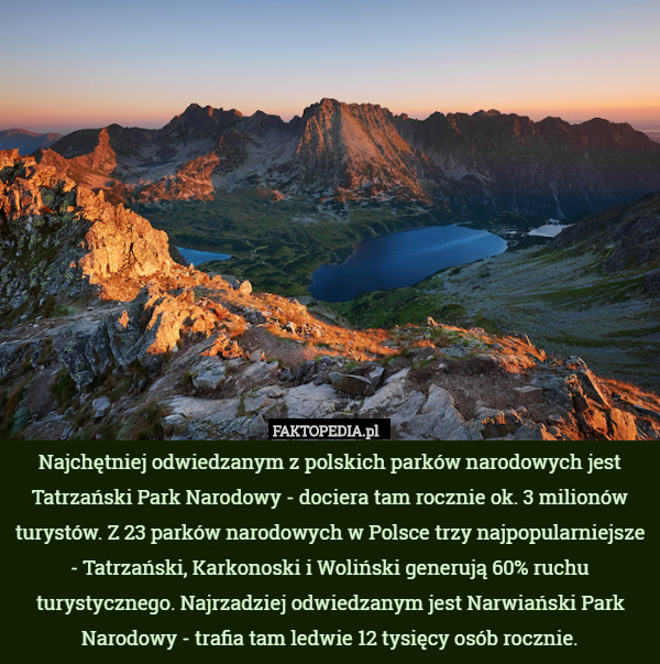 Najchętniej odwiedzanym z polskich parków narodowych jest Tatrzański Park Narodowy - dociera tam rocznie ok. 3 milionów turystów. Z 23 parków narodowych w Polsce trzy najpopularniejsze - Tatrzański, Karkonoski i Woliński generują 60% ruchu turystycznego. Najrzadziej odwiedzanym jest Narwiański Park Narodowy - trafia tam ledwie 12 tysięcy osób rocznie. 