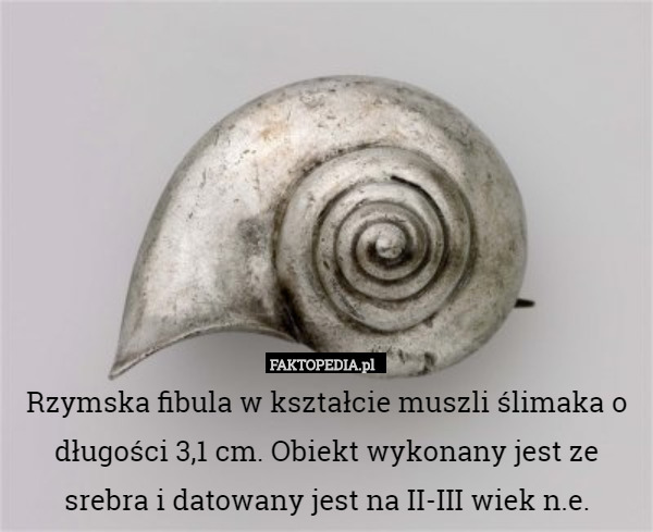Rzymska fibula w kształcie muszli ślimaka o długości 3,1 cm. Obiekt wykonany jest ze srebra i datowany jest na II-III wiek n.e. 