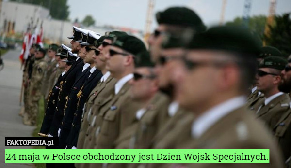 24 maja w Polsce obchodzony jest Dzień Wojsk Specjalnych. 