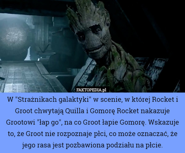 W "Strażnikach galaktyki" w scenie, w której Rocket i Groot chwytają Quilla i Gomorę Rocket nakazuje Grootowi "łap go", na co Groot łapie Gomorę. Wskazuje to, że Groot nie rozpoznaje płci, co może oznaczać, że jego rasa jest pozbawiona podziału na płcie. 