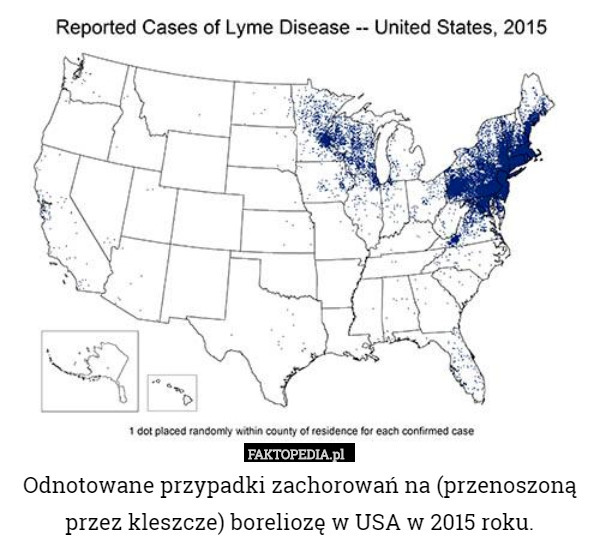 Odnotowane przypadki zachorowań na (przenoszoną przez kleszcze) boreliozę w USA w 2015 roku. 