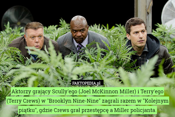 Aktorzy grający Scully'ego (Joel McKinnon Miller) i Terry'ego (Terry Crews) w "Brooklyn Nine-Nine" zagrali razem w "Kolejnym piątku", gdzie Crews grał przestępcę a Miller policjanta. 
