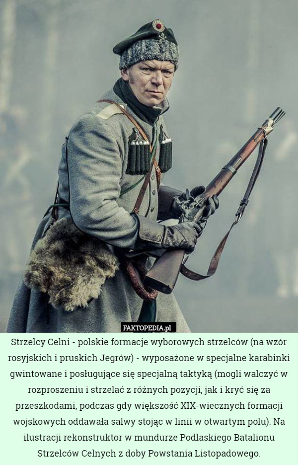 Strzelcy Celni - polskie formacje wyborowych strzelców (na wzór rosyjskich i pruskich Jegrów) - wyposażone w specjalne karabinki gwintowane i posługujące się specjalną taktyką (mogli walczyć w rozproszeniu i strzelać z różnych pozycji, jak i kryć się za przeszkodami, podczas gdy większość XIX-wiecznych formacji wojskowych oddawała salwy stojąc w linii w otwartym polu). Na ilustracji rekonstruktor w mundurze Podlaskiego Batalionu Strzelców Celnych z doby Powstania Listopadowego. 