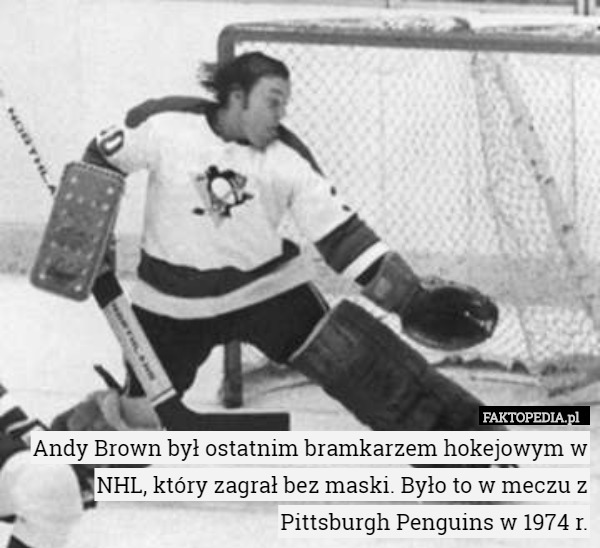 Andy Brown był ostatnim bramkarzem hokejowym w NHL, który zagrał bez maski. Było to w meczu z Pittsburgh Penguins w 1974 r. 