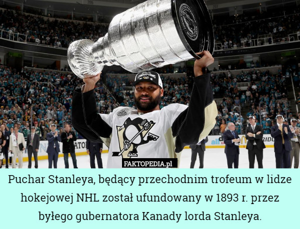 Puchar Stanleya, będący przechodnim trofeum w lidze hokejowej NHL został ufundowany w 1893 r. przez byłego gubernatora Kanady lorda Stanleya. 