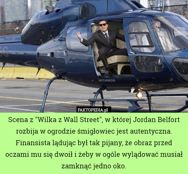 Scena z "Wilka z Wall Street", w której Jordan Belfort rozbija w ogrodzie śmigłowiec jest autentyczna. Finansista lądując był tak pijany, że obraz przed oczami mu się dwoił i żeby w ogóle wylądować musiał zamknąć jedno oko. 