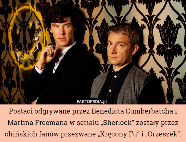 Postaci odgrywane przez Benedicta Cumberbatcha i Martina Freemana w serialu „Sherlock” zostały przez chińskich fanów przezwane „Kręcony Fu” i „Orzeszek”. 