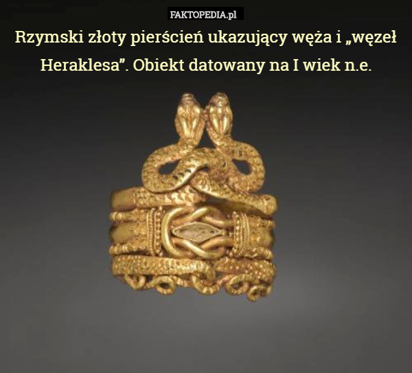 Rzymski złoty pierścień ukazujący węża i „węzeł Heraklesa”. Obiekt datowany na I wiek n.e. 