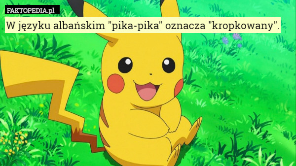 W języku albańskim "pika-pika" oznacza "kropkowany". 