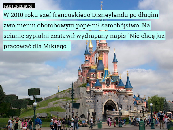 W 2010 roku szef francuskiego Disneylandu po długim zwolnieniu chorobowym popełnił samobójstwo. Na ścianie sypialni zostawił wydrapany napis "Nie chcę już pracować dla Mikiego". 