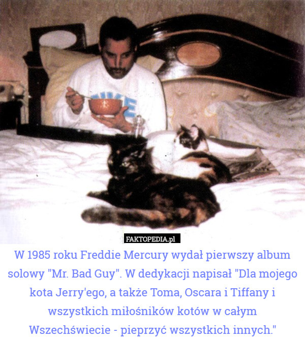 W 1985 roku Freddie Mercury wydał pierwszy album solowy "Mr. Bad Guy". W dedykacji napisał "Dla mojego kota Jerry'ego, a także Toma, Oscara i Tiffany i wszystkich miłośników kotów w całym Wszechświecie - pieprzyć wszystkich innych." 