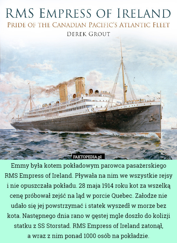 Emmy była kotem pokładowym parowca pasażerskiego RMS Empress of Ireland. Pływała na nim we wszystkie rejsy i nie opuszczała pokładu. 28 maja 1914 roku kot za wszelką cenę próbował zejść na ląd w porcie Quebec. Załodze nie udało się jej powstrzymać i statek wyszedł w morze bez kota. Następnego dnia rano w gęstej mgle doszło do kolizji statku z SS Storstad. RMS Empress of Ireland zatonął,
 a wraz z nim ponad 1000 osób na pokładzie. 