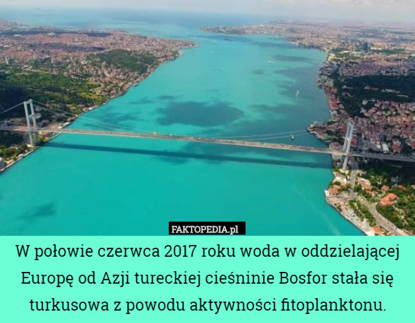 W połowie czerwca 2017 roku woda w oddzielającej Europę od Azji tureckiej cieśninie Bosfor stała się turkusowa z powodu aktywności fitoplanktonu. 