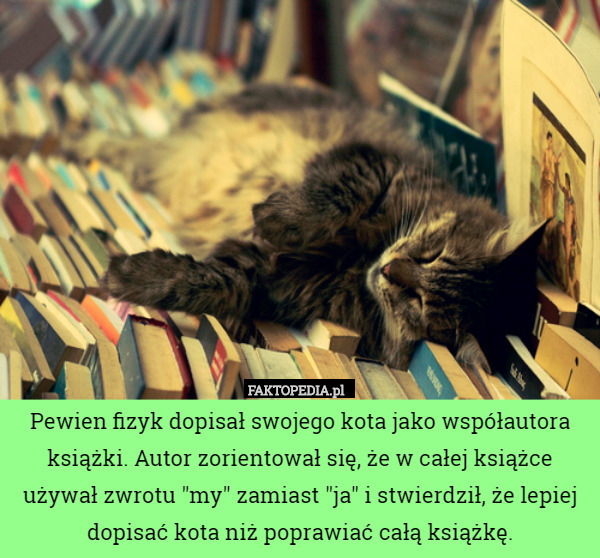 Pewien fizyk dopisał swojego kota jako współautora książki. Autor zorientował się, że w całej książce używał zwrotu "my" zamiast "ja" i stwierdził, że lepiej dopisać kota niż poprawiać całą książkę. 