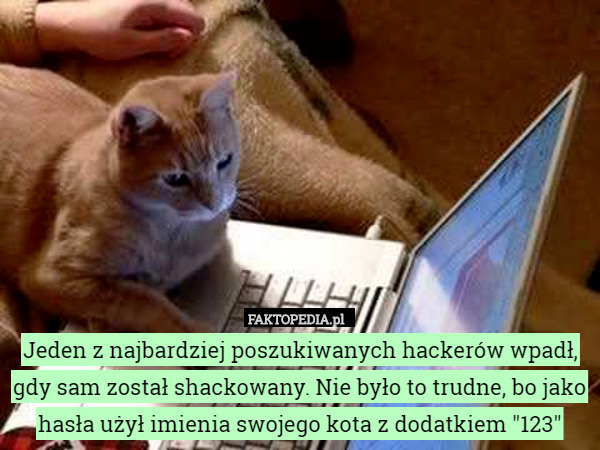 Jeden z najbardziej poszukiwanych hackerów wpadł, gdy sam został shackowany. Nie było to trudne, bo jako hasła użył imienia swojego kota z dodatkiem "123" 