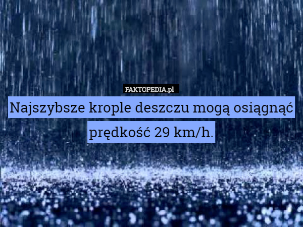 Najszybsze krople deszczu mogą osiągnąć prędkość 29 km/h. 