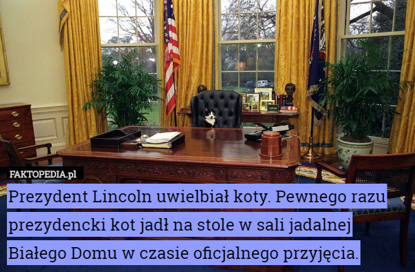 Prezydent Lincoln uwielbiał koty. Pewnego razu prezydencki kot jadł na stole w sali jadalnej Białego Domu w czasie oficjalnego przyjęcia. 