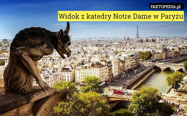 Widok z katedry Notre Dame w Paryżu 