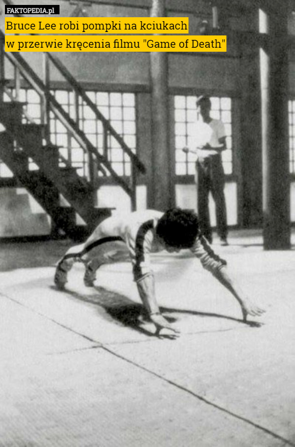 Bruce Lee robi pompki na kciukach
w przerwie kręcenia filmu "Game of Death" 