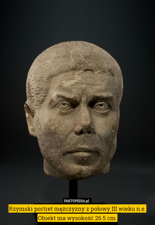 Rzymski portret mężczyzny z połowy III wieku n.e. Obiekt ma wysokość 26.5 cm. 