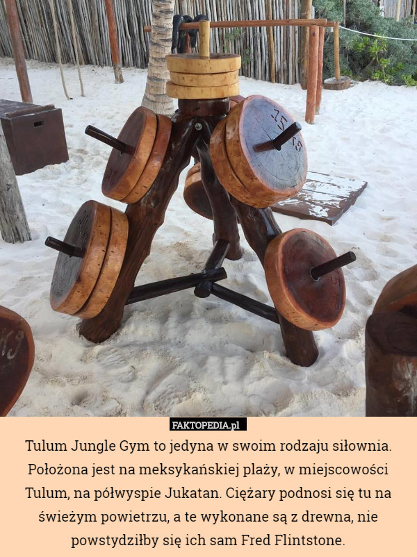 Tulum Jungle Gym to jedyna w swoim rodzaju siłownia. Położona jest na meksykańskiej plaży, w miejscowości Tulum, na półwyspie Jukatan. Ciężary podnosi się tu na świeżym powietrzu, a te wykonane są z drewna, nie powstydziłby się ich sam Fred Flintstone. 