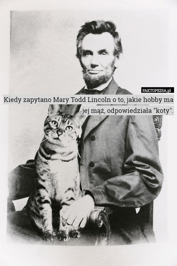 Kiedy zapytano Mary Todd Lincoln o to, jakie hobby ma jej mąż, odpowiedziała "koty". 