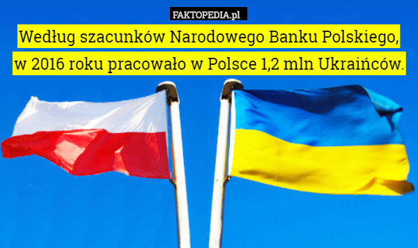 Według szacunków Narodowego Banku Polskiego,
 w 2016 roku pracowało w Polsce 1,2 mln Ukraińców. 