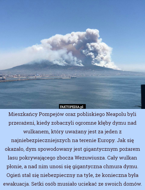 Mieszkańcy Pompejów oraz pobliskiego Neapolu byli przerażeni, kiedy zobaczyli ogromne kłęby dymu nad wulkanem, który uważany jest za jeden z najniebezpieczniejszych na terenie Europy. Jak się okazało, dym spowodowany jest gigantycznym pożarem lasu pokrywającego zbocza Wezuwiusza. Cały wulkan płonie, a nad nim unosi się gigantyczna chmura dymu. Ogień stał się niebezpieczny na tyle, że konieczna była ewakuacja. Setki osób musiało uciekać ze swoich domów. 