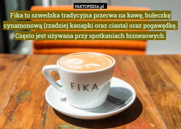 Fika to szwedzka tradycyjna przerwa na kawę, bułeczkę cynamonową (rzadziej kanapki oraz ciasta) oraz pogawędkę. Często jest używana przy spotkaniach biznesowych. 