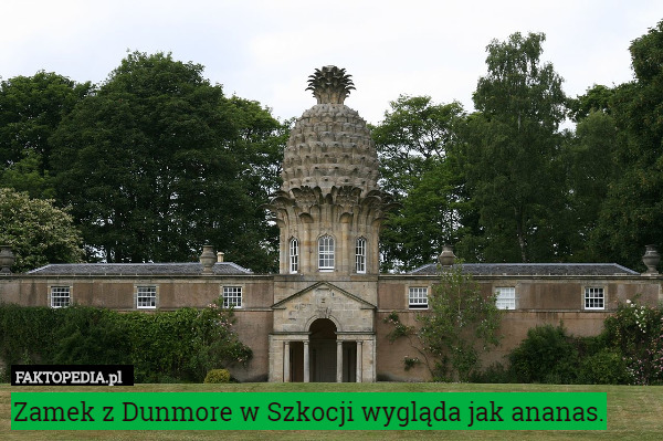 Zamek z Dunmore w Szkocji wygląda jak ananas. 
