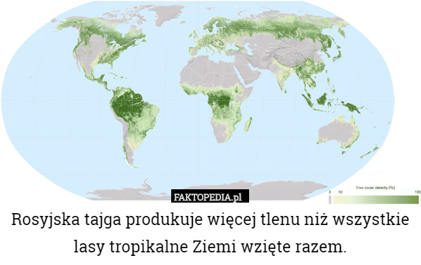 Rosyjska tajga produkuje więcej tlenu niż wszystkie lasy tropikalne Ziemi wzięte razem. 