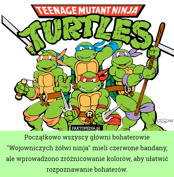 Początkowo wszyscy główni bohaterowie "Wojowniczych żółwi ninja" mieli czerwone bandany, ale wprowadzono zróżnicowanie kolorów, aby ułatwić rozpoznawanie bohaterów. 