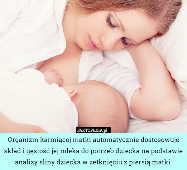 Organizm karmiącej matki automatycznie dostosowuje skład i gęstość jej mleka do potrzeb dziecka na podstawie analizy śliny dziecka w zetknięciu z piersią matki. 