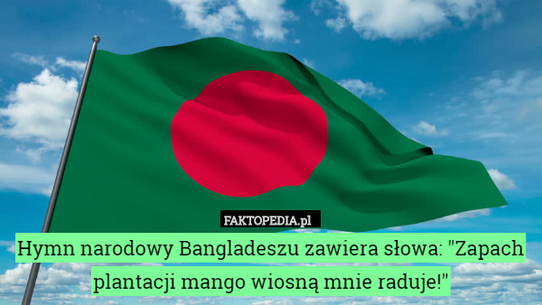 Hymn narodowy Bangladeszu zawiera słowa: "Zapach plantacji mango wiosną mnie raduje!" 