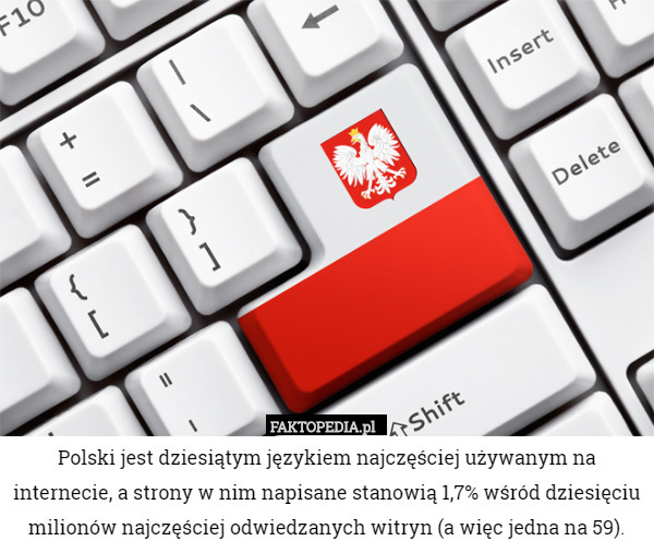Polski jest dziesiątym językiem najczęściej używanym na internecie, a strony w nim napisane stanowią 1,7% wśród dziesięciu milionów najczęściej odwiedzanych witryn (a więc jedna na 59). 