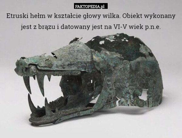 Etruski hełm w kształcie głowy wilka. Obiekt wykonany jest z brązu i datowany jest na VI-V wiek p.n.e. 