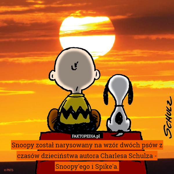 Snoopy został narysowany na wzór dwóch psów z czasów dzieciństwa autora Charlesa Schulza - Snoopy'ego i Spike'a. 