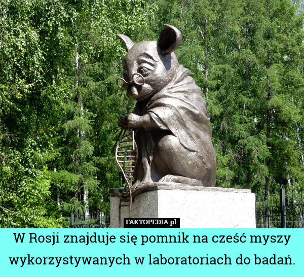 W Rosji znajduje się pomnik na cześć myszy wykorzystywanych w laboratoriach do badań. 